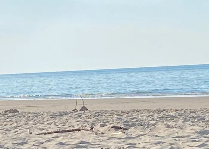 Tversted Strandpark * Bindslev